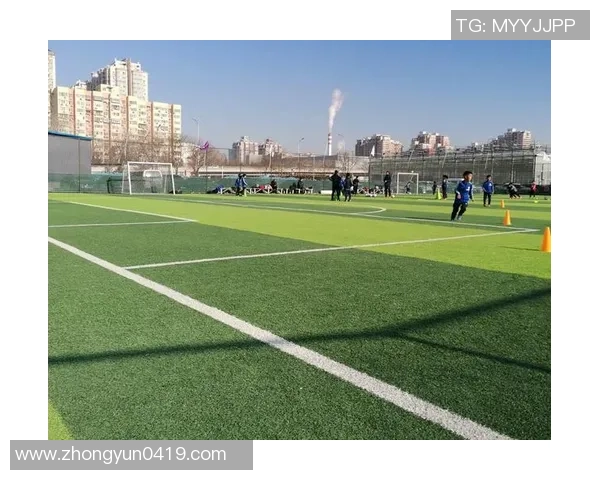 律师在绿茵场上的激情与坚持足球场上的法律智慧与团队精神交融